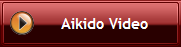 Aikido Video